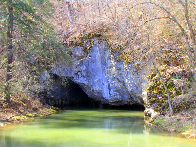 Arch Springs