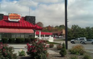 Our patio view - Dog Enforcement